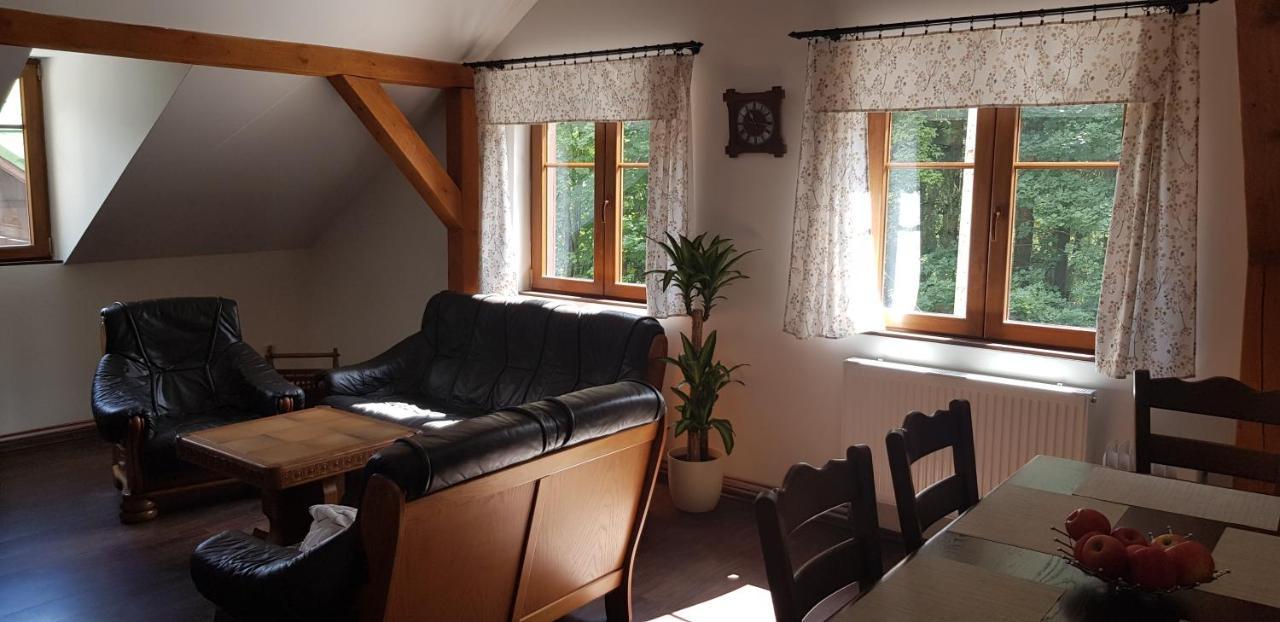 Apartman Jizerka Kořenov 外观 照片